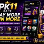 PK11 Game